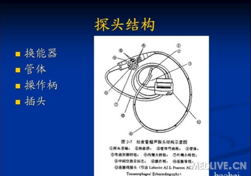 探头结构经食道超声心动图----仪器与探头经食道超声心动图----简介
