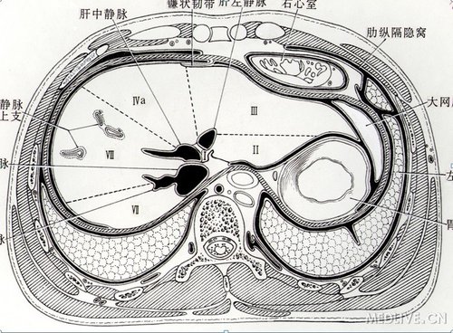 medlive.cn/upload/000/028/601