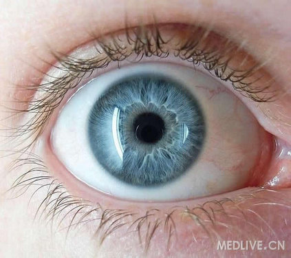 人类眼睛究竟有多少种颜色