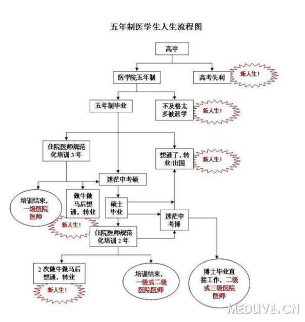 五年制医学生人生流程图