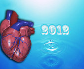 2012心血管焦点回顾