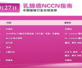 2010年乳腺癌NCCN指南中国版修订会
