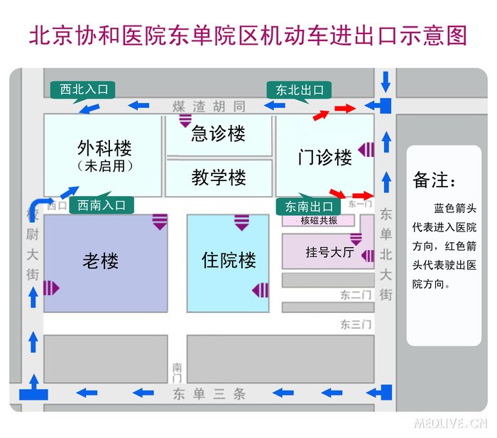 北京协和医院进修胜地的攻略