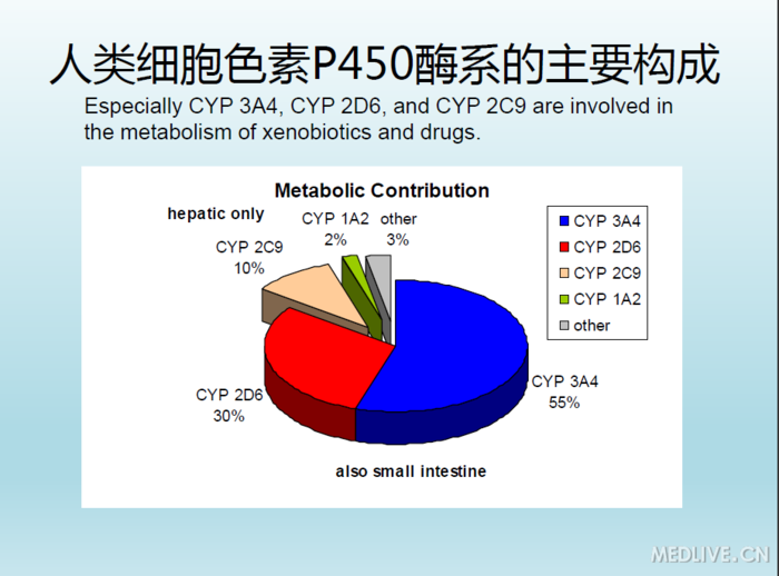 人类细胞色素p450酶系的主要构成_圈子_医脉通