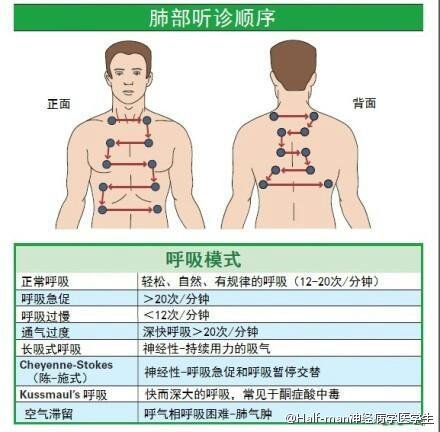 肺部听诊顺序呼吸科的看过来