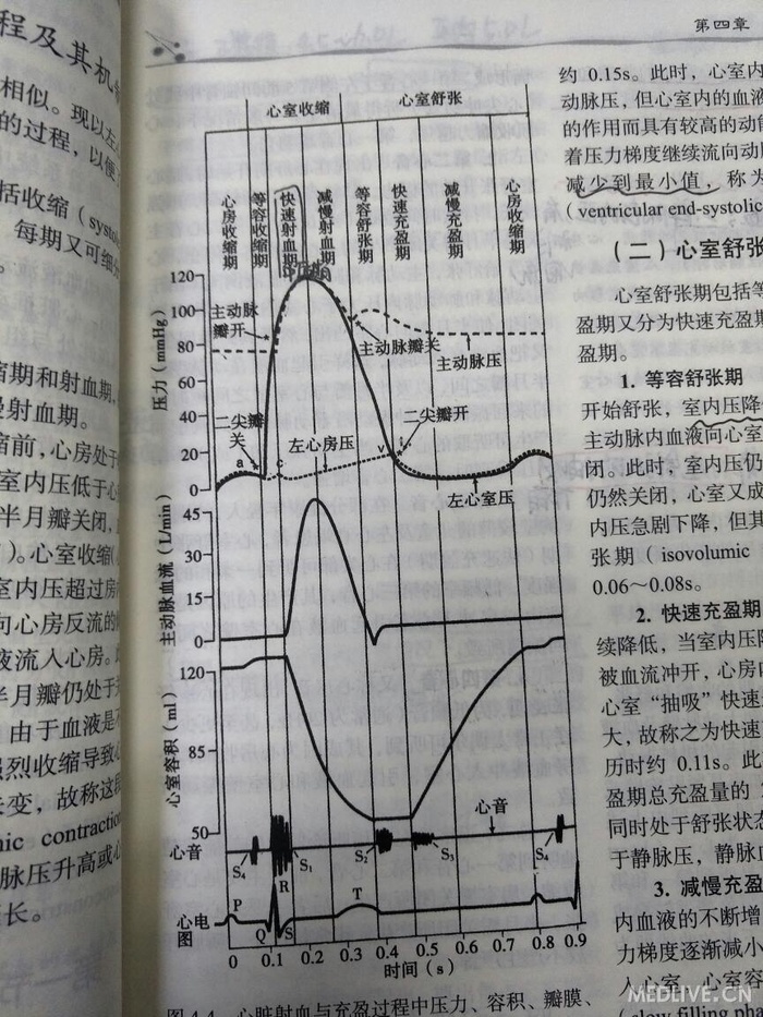 心脏泵血过程表格图片