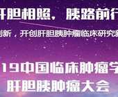 2019中国临床肿瘤学会肝胆胰肿瘤大会