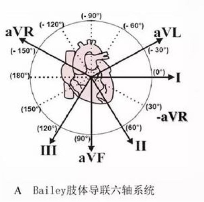 心电图实际上是空间心电向量环经过两次投影的结果,投影在某一平面上