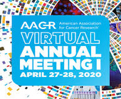 2020年美国癌症研究协会年会(AACR)