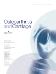 Osteoarthritis Cartilage