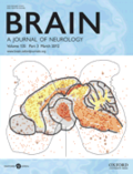 Brain